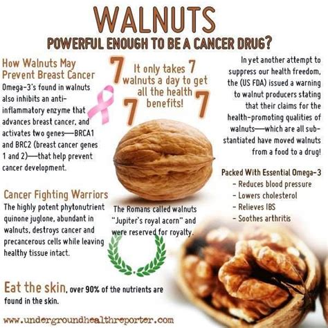 omega 6 in walnuts